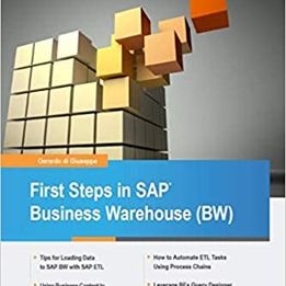 الخطوات الأولى في SAP Business Warehouse (BW)