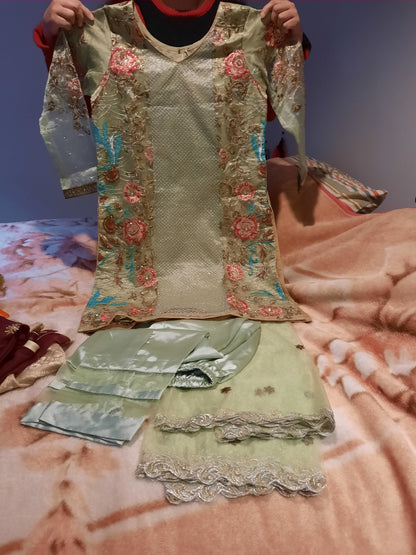 Stitched Wedding suits Chiffon suits party wear