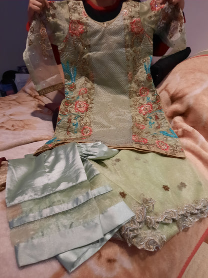 Stitched Wedding suits Chiffon suits party wear