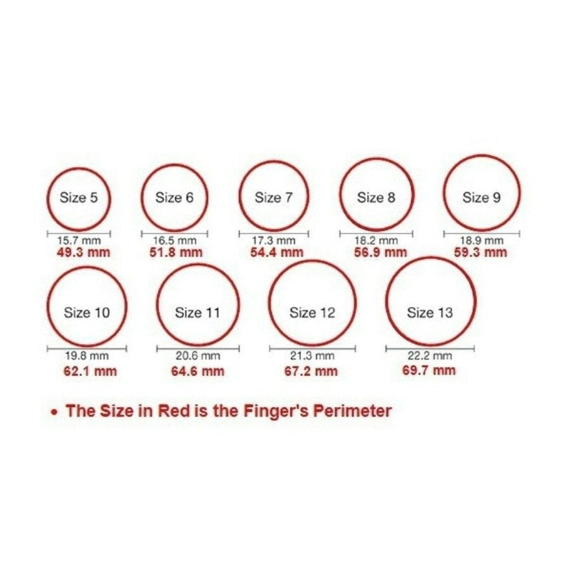 Classic Fashion Rings for Men Silver Color Knight Ring Luxury Domineering White Stone Zircon Inlay Punk Ring Party Jewelry Gift - NATASHAHS