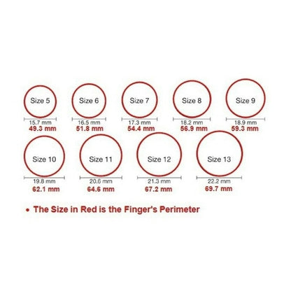 Classic Fashion Rings for Men Silver Color Knight Ring Luxury Domineering White Stone Zircon Inlay Punk Ring Party Jewelry Gift - NATASHAHS