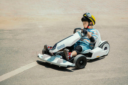 SEGWAY GO KART KIT - NATASHAHS